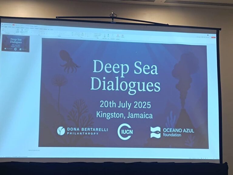 Kingston, Jamaïque: Atriakasa miompana @ny tontonlony ati-ranomasimbe na « DEAPSEA DIALOGUE ».