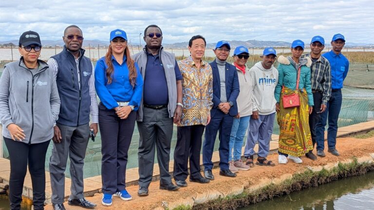 DG FAO : TONGA NITSIDIKA NY ROYAL TILAPIA TENY AMBATOLAMPY TSIMAHAFOTSY FARITRA ANALAMANGA