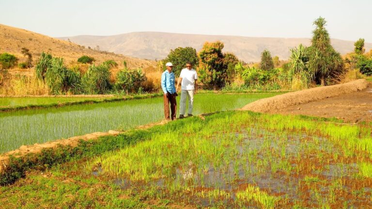 Ampandra, Distrikan&rsquo;Ihosy, Faritra Ihorombe.