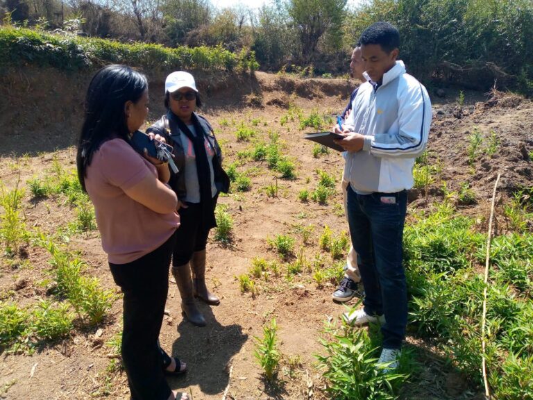Centre FOFAJA , Fokontany Miaramasoandro, Distrikan&rsquo; Antsirabe, Faritra Vakinankaratra.