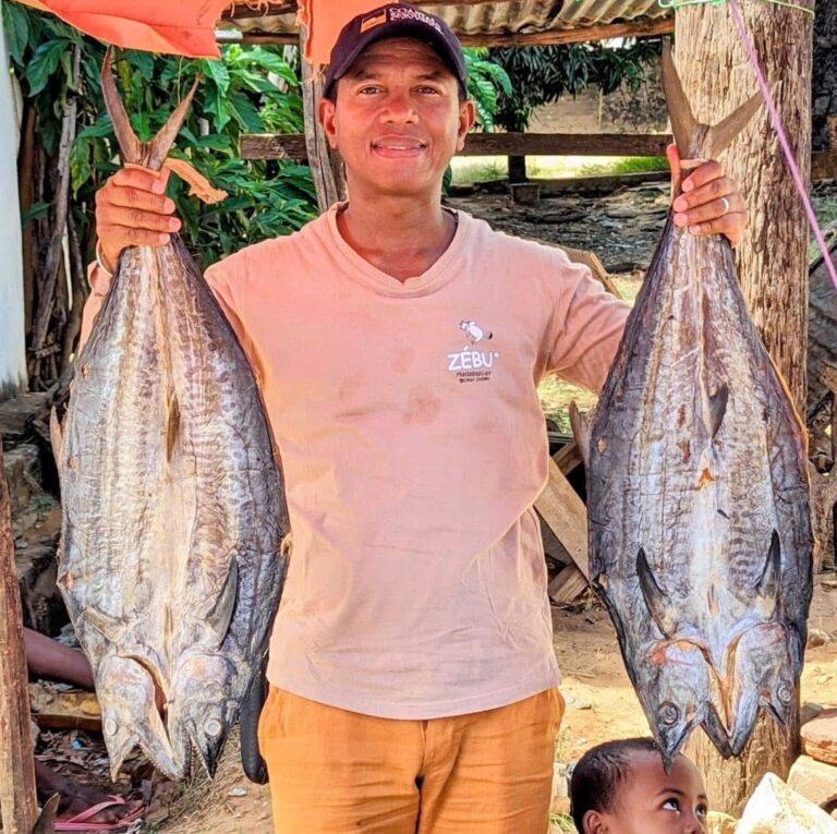 Fanazavana momba ny jono lamatra na thon eto amintsika sy ny manodidina ny Ranomasimbe Indianina