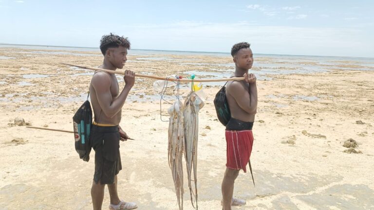 Fkt Ampasimandroro,Kaominina Ambonivohitra Maintirano, Distrikan’i Maintirano, Faritra Melaky. Fanokafana ny tahiry tsy maharitra ny horita taona 2025.