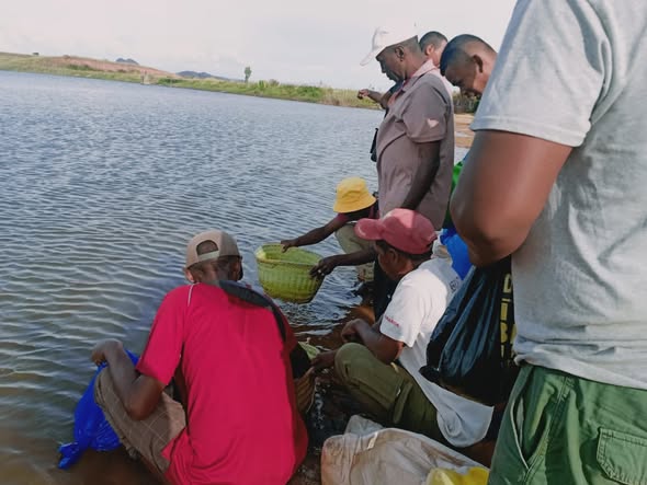 Kaominina Ambonivohitra Tsiroanomandidy, Distrikan’i Tsiroanomandidy, Faritra Bongolava. Akon’ny fandrotsahana zana-trondro