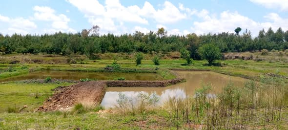 Kaominina ambanivohitra Antsirabe, Distrikan’Atsirabe II,  Faritra Vakinankaratra. Akon’ny fitsidihana toeram-piompiana trondro.