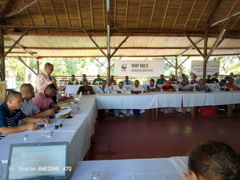 Libertalia Green Park, Distrika Nosy be, faritra Diana. ‎ Atrikasa fanombanana ny drafi-pandrindrana ny jono (PAP) ao amin’ny faritra BATAN.