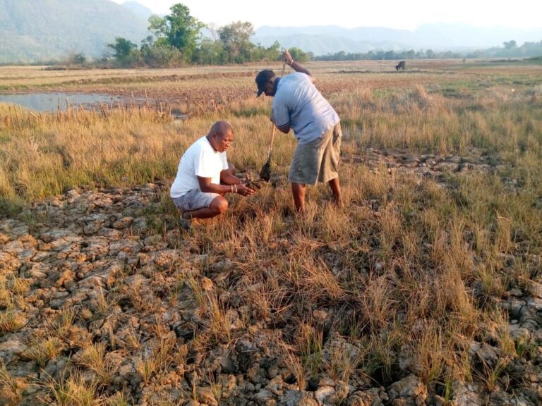 Secteur Morafeno,Kaominina Ambanivohitra Maherivaratra, Distrikan’Ambanja,Faritra DIANA. Fitsidihana sy fitsirihana toerana hiompiana trondro.