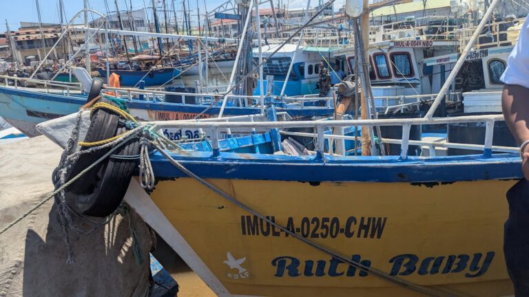 JONO TSY ARA-DALÀNA : HO HENTITRA NY SAZY HO AN’IREO SAMBO TSY MANARA-DALANA REHETRA. Mahajanga,Faritra boeny