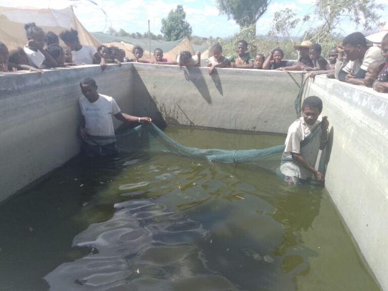 Kaominina Ifotaka, Distrika Amboasary, Faritra Anosy. Toeram-pamokarana trondro ao Fenoarivo : Ho atao « site vitrine » momba ny fiompiana trondro.